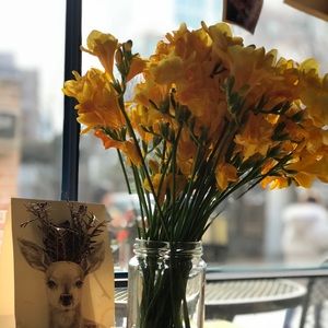 Meet your Posher, Anthony